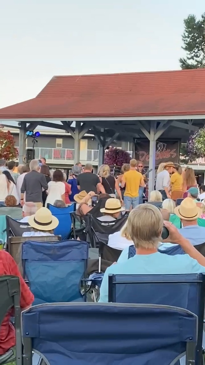 Outdoor concert — crowd, summer event